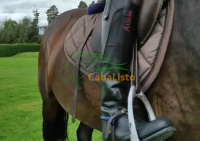 Tu pasión por la equitación merece lo mejor: Botas de cuero personalizadas.