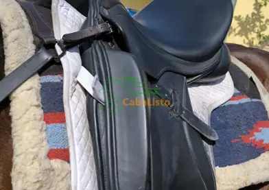 Se vende Zaldi San Jorge 17'5"